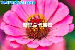 斯里兰卡宝石