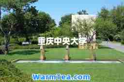 重庆中央大学