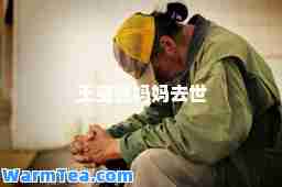 王宝强妈妈去世