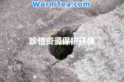 珍惜资源保护环境