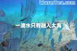 一滴水只有融入大海