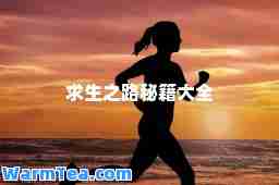 求生之路秘籍大全