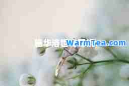 施华洛世奇耳机
