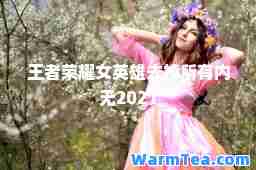 王者荣耀女英雄去掉所有内无2021