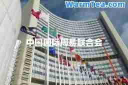 中国国际周易联合会
