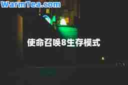 使命召唤8生存模式