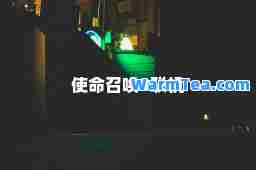 使命召唤8联机