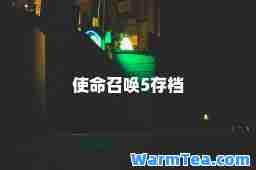 使命召唤5存档