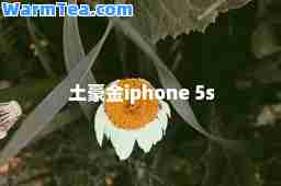 土豪金iphone 5s