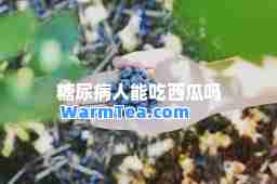 糖尿病人能吃西瓜吗