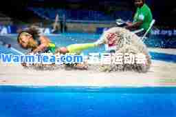 陕西省第十五届运动会