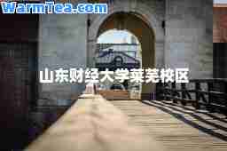山东财经大学莱芜校区