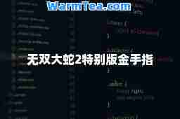 无双大蛇2特别版金手指