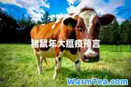 猪鼠年大瘟疫预言