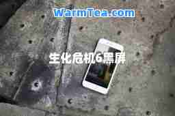 生化危机6黑屏