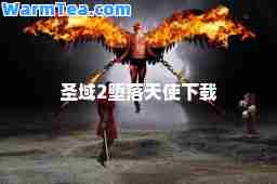 圣域2堕落天使下载