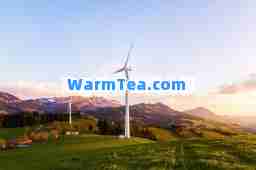 秦皇岛新世纪公园 秦皇岛新世纪公园