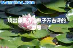 晓出净慈寺送林子方古诗的意思 晓出净慈寺送林子方古诗的意思