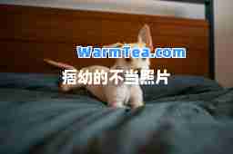 痞幼的不当照片 痞幼的不当照片