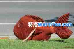 特洛伊2 特洛伊2