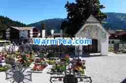 新梦下载基地 新梦下载基地