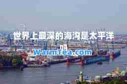 世界上最深的海沟是太平洋吗