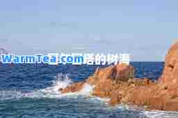 塞尔塞塔的树海