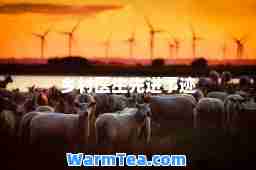 乡村医生先进事迹 乡村医生先进事迹