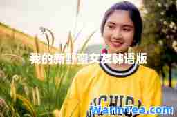 我的新野蛮女友韩语版