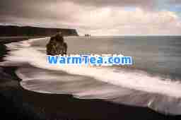 战狼2将重映 战狼2将重映