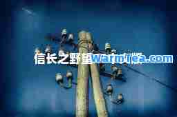 信长之野望13中文版 信长之野望13中文版