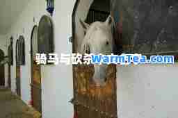 骑马与砍杀中文名字 骑马与砍杀中文名字