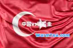 中国vs巴拉圭