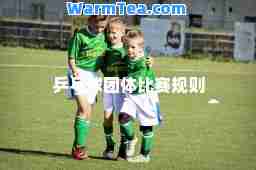 乒乓球团体比赛规则 乒乓球团体比赛规则