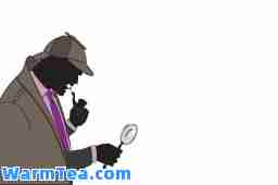 诈骗犯被押解回国