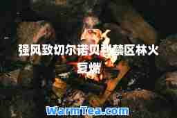 强风致切尔诺贝利禁区林火复燃 强风致切尔诺贝利禁区林火复燃