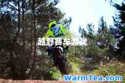 越野赛车游戏 越野赛车游戏