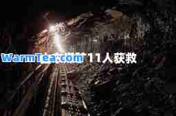 山东煤矿11人获救 山东煤矿11人获救