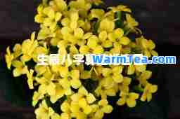 生辰八字算结婚吉日 生辰八字算结婚吉日