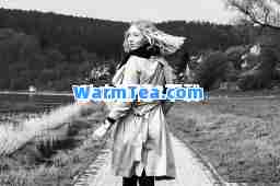 秋之回忆3下载 秋之回忆3下载