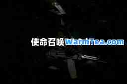 使召唤11 3dm 使召唤11 3dm