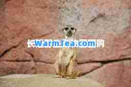 长隆野生动物园团购 长隆野生动物园团购