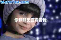 你静静无言看着我 你静静无言看着我