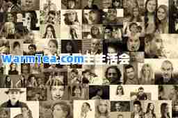 社区民主生活会