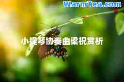 小提琴协奏曲梁祝赏析