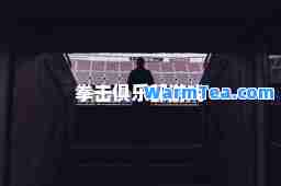 拳击俱乐部游戏