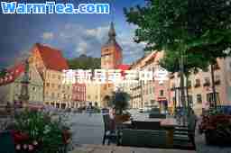 清新县第三中学