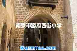 南京市游府西街小学