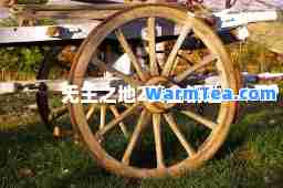 无主之地2黄金钥匙