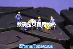 数码宝贝复原攻略